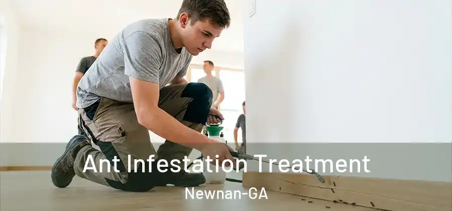 Ant Infestation Treatment Newnan-GA