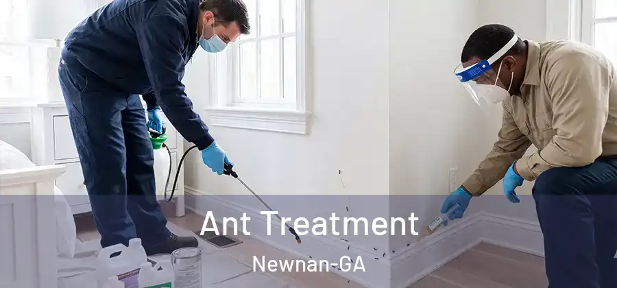 Ant Treatment Newnan-GA