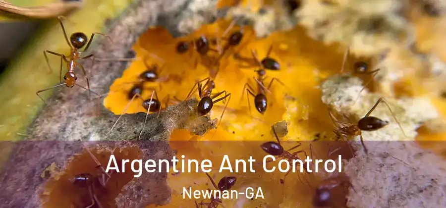 Argentine Ant Control Newnan-GA