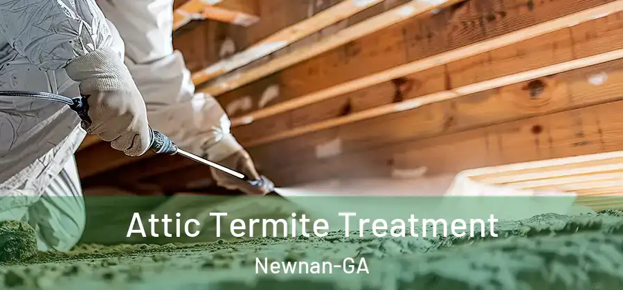 Attic Termite Treatment Newnan-GA