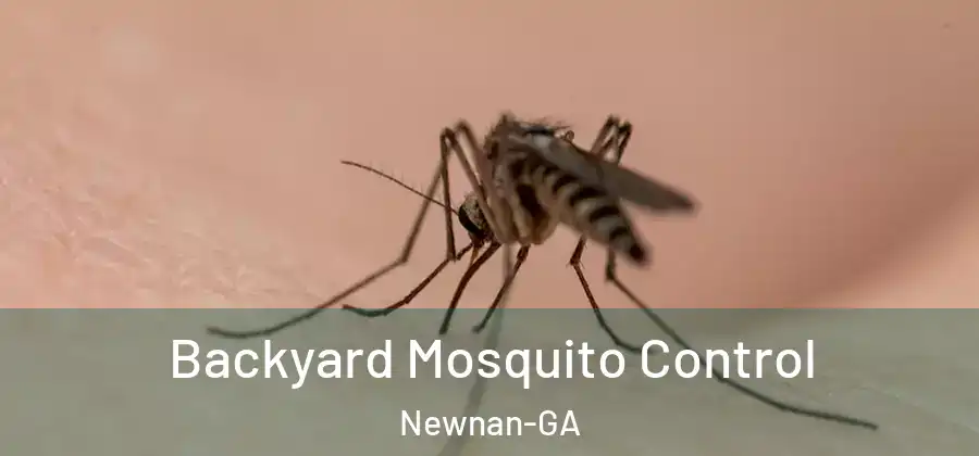 Backyard Mosquito Control Newnan-GA