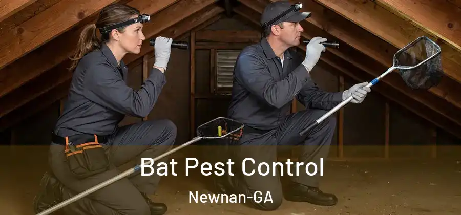  Bat Pest Control Newnan-GA