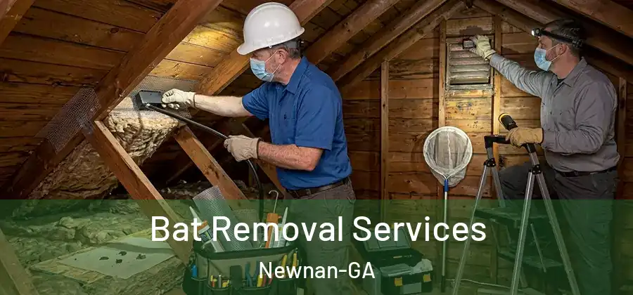  Bat Removal Services Newnan-GA
