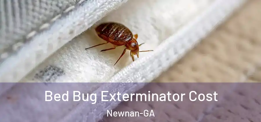 Bed Bug Exterminator Cost Newnan-GA