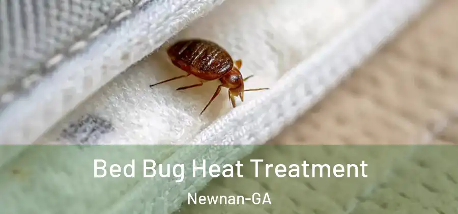 Bed Bug Heat Treatment Newnan-GA