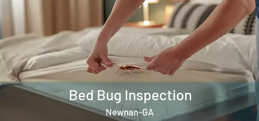 Bed Bug Inspection Newnan-GA