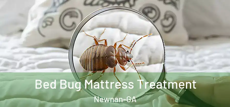 Bed Bug Mattress Treatment Newnan-GA