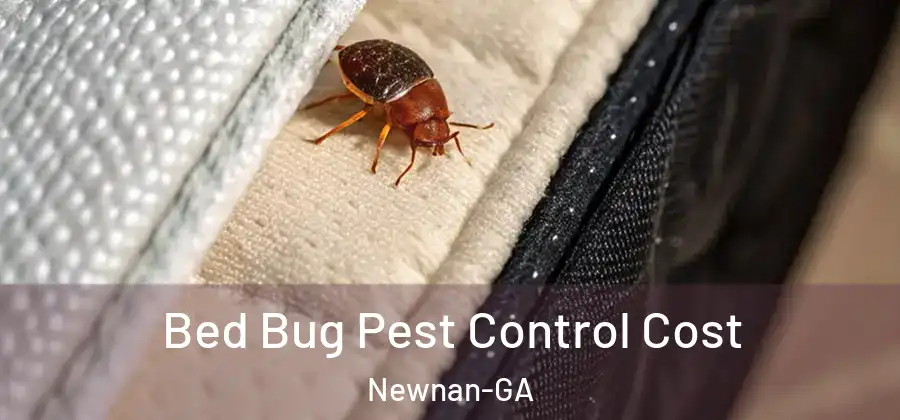  Bed Bug Pest Control Cost Newnan-GA