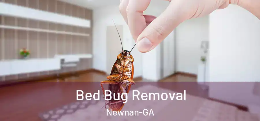 Bed Bug Removal Newnan-GA