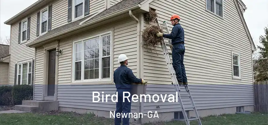 Bird Removal Newnan-GA