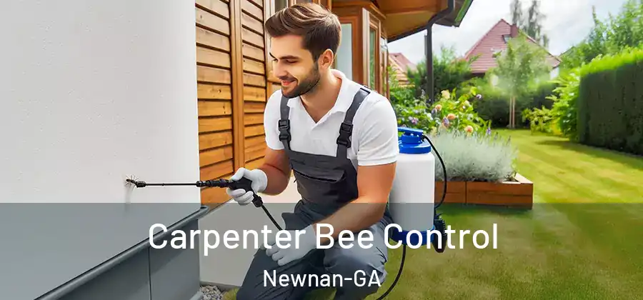 Carpenter Bee Control Newnan-GA