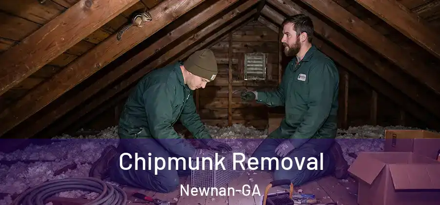 Chipmunk Removal Newnan-GA