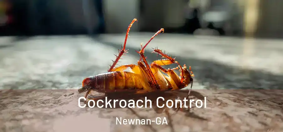 Cockroach Control Newnan-GA