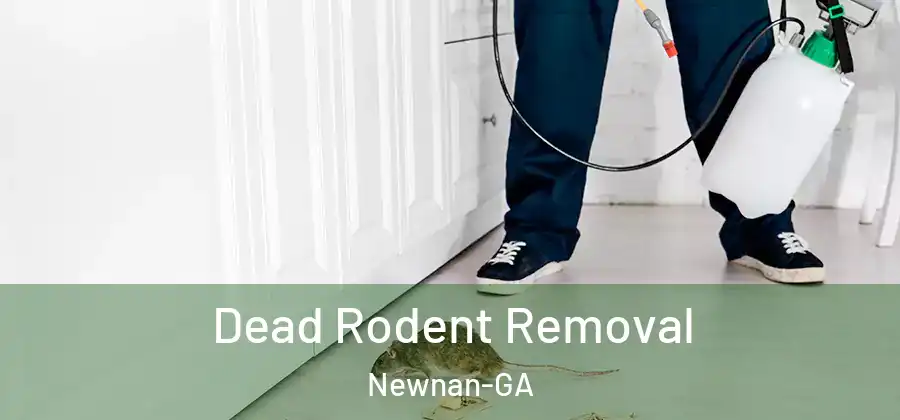 Dead Rodent Removal Newnan-GA