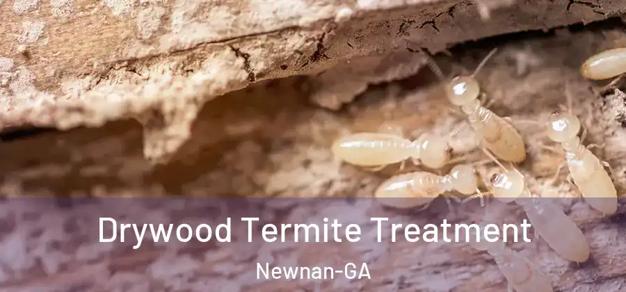 Drywood Termite Treatment Newnan-GA