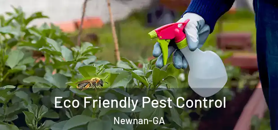  Eco Friendly Pest Control Newnan-GA