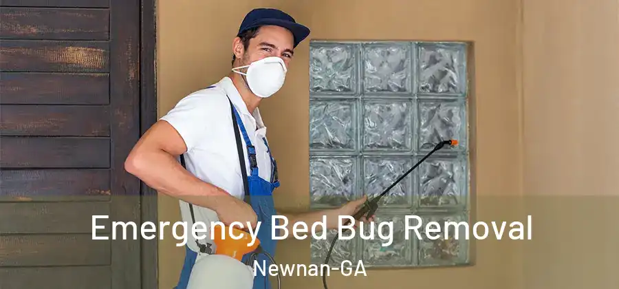 Emergency Bed Bug Removal Newnan-GA