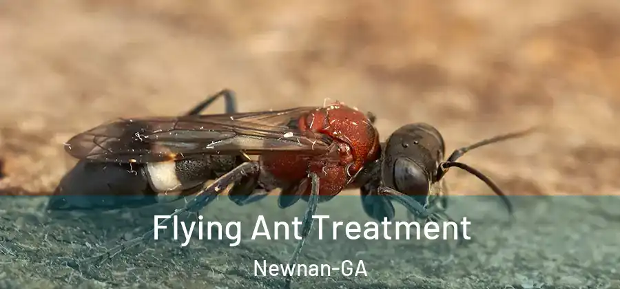  Flying Ant Treatment Newnan-GA