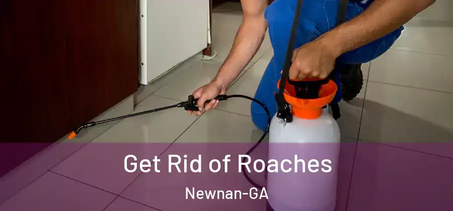 Get Rid of Roaches Newnan-GA