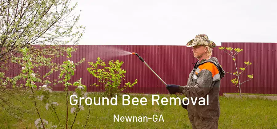 Ground Bee Removal Newnan-GA