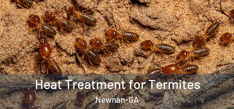 Heat Treatment for Termites Newnan-GA