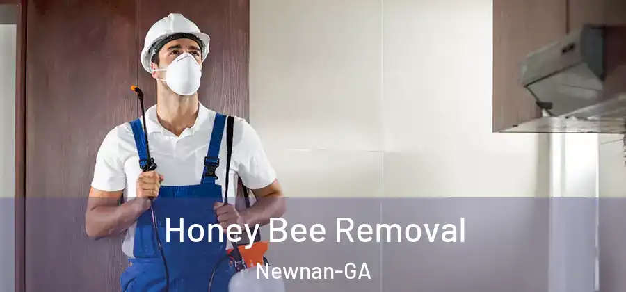  Honey Bee Removal Newnan-GA