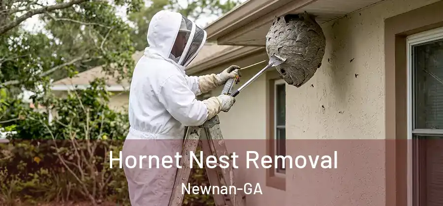 Hornet Nest Removal Newnan-GA