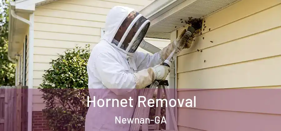  Hornet Removal Newnan-GA
