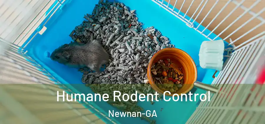 Humane Rodent Control Newnan-GA