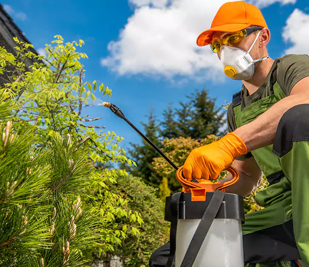Your Best Bug Spray for Home Team in Newnan, GA