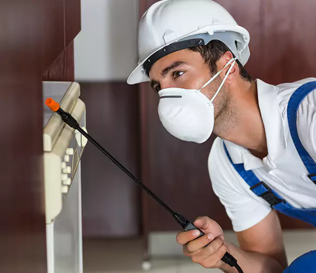 Expert Cockroach Exterminator: Your Roach Control Services in Newnan, GA