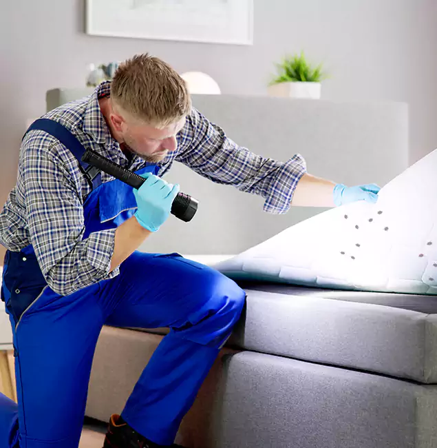 Why Choose Newnan Pest Control Pro For Bed Bug Heat Treatment in Newnan, GA?
