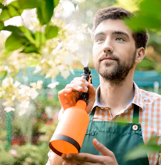 Why Newnan Homeowners Call Newnan Pest Control Pro for Mosquitoes in House?