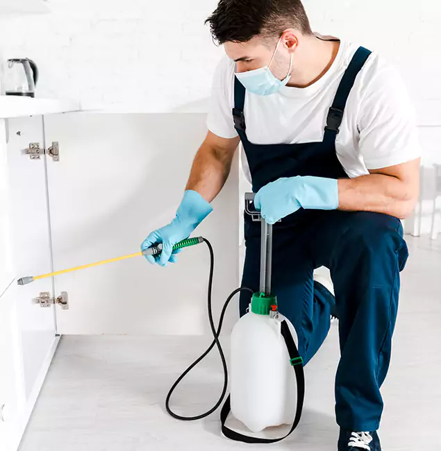 Why Choose Newnan Pest Control Pro for Termite Spot Treatment in Newnan, GA?