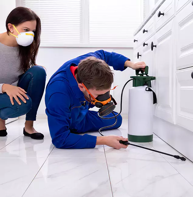 Why Choose Wood Termite Treatment by Newnan Pest Control Pro in Newnan, GA?