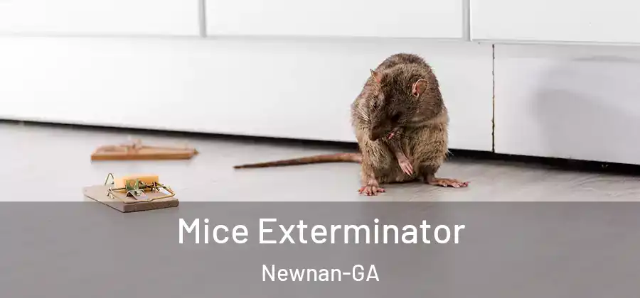  Mice Exterminator Newnan-GA
