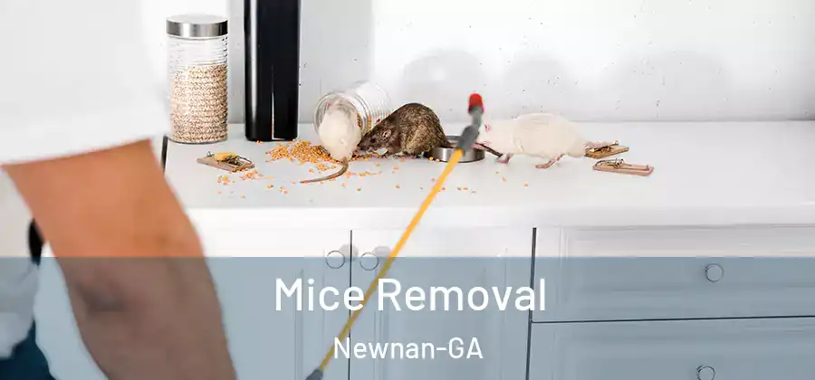 Mice Removal Newnan-GA