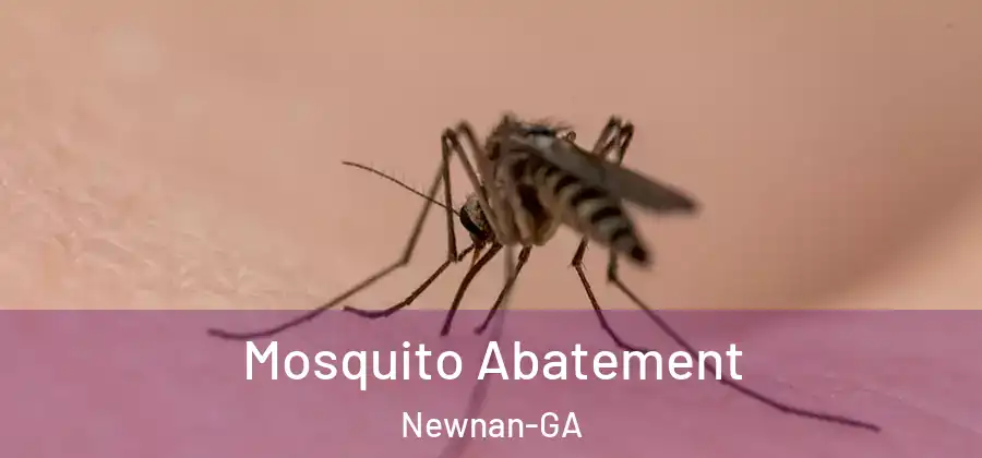 Mosquito Abatement Newnan-GA