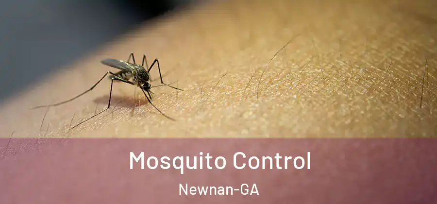 Mosquito Control Newnan-GA