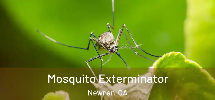 Mosquito Exterminator Newnan-GA
