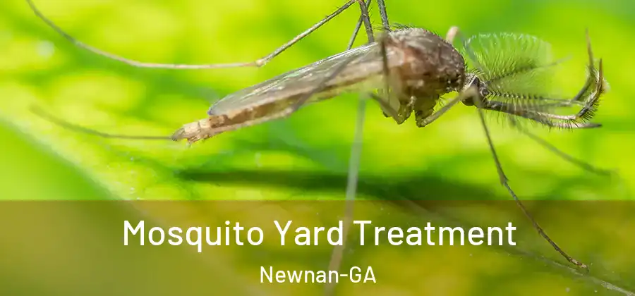 Mosquito Yard Treatment Newnan-GA