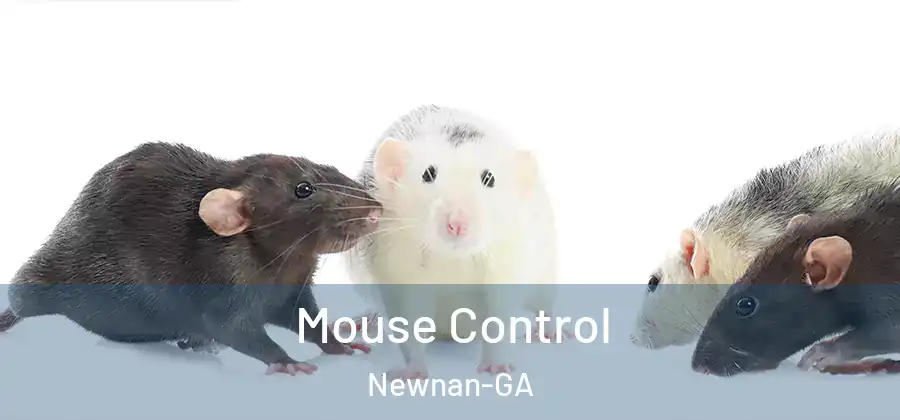 Mouse Control Newnan-GA