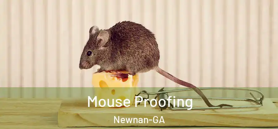 Mouse Proofing Newnan-GA