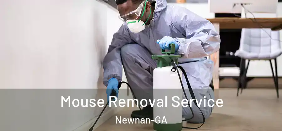Mouse Removal Service Newnan-GA