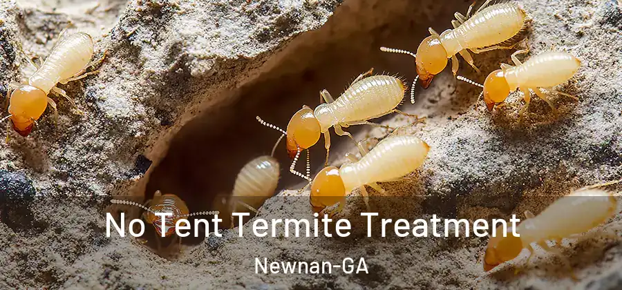 No Tent Termite Treatment Newnan-GA