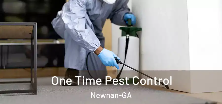 One Time Pest Control Newnan-GA