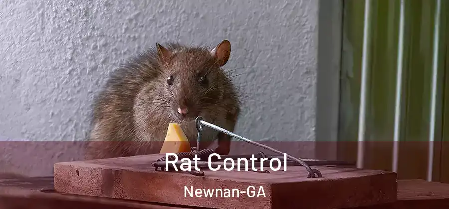 Rat Control Newnan-GA