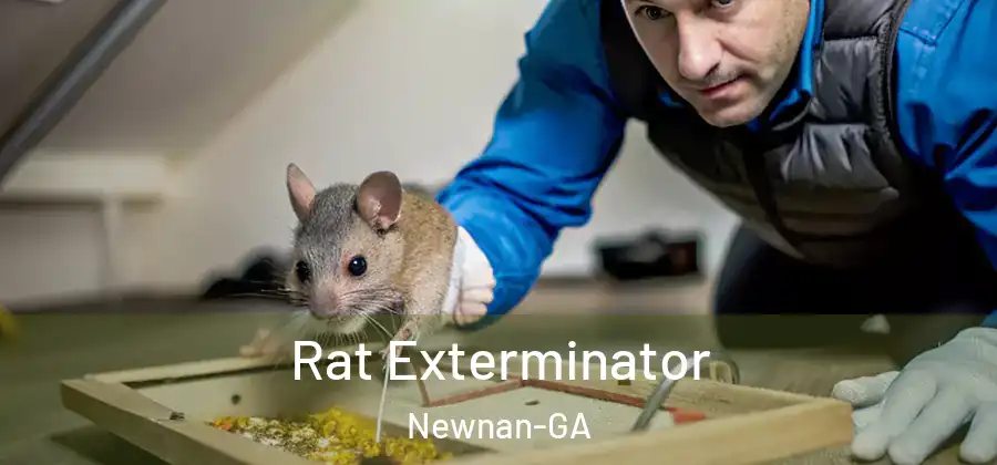Rat Exterminator Newnan-GA