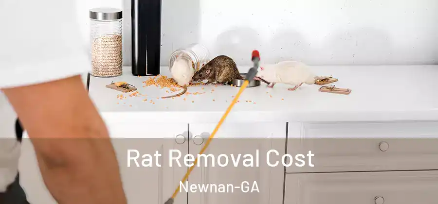 Rat Removal Cost Newnan-GA