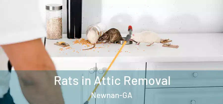 Rats in Attic Removal Newnan-GA